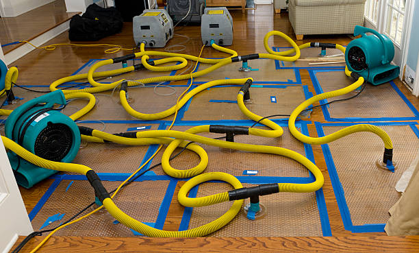 Professional Sewage Cleanup technician working in Salesville, OH